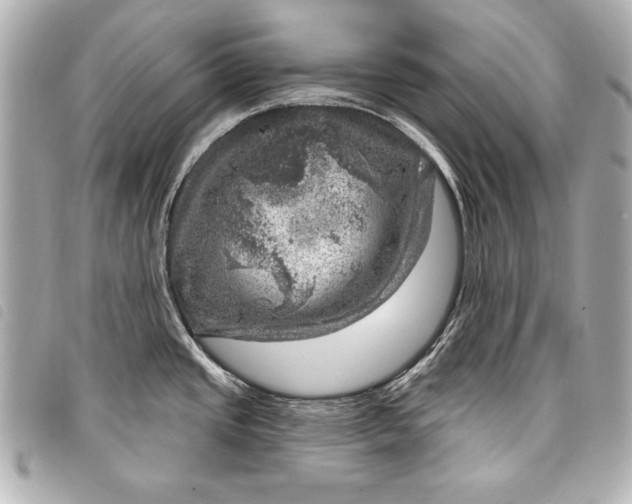 X0000098071437200804181121