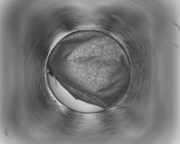 X0000098071440200804181121