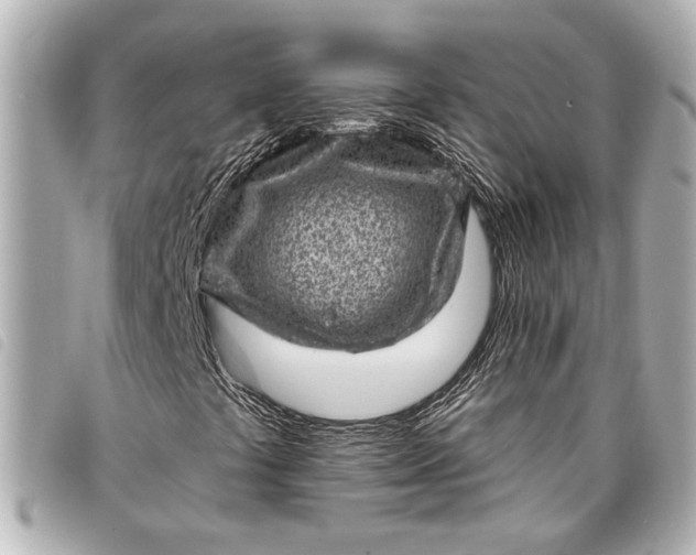 X0000098071441200804181120