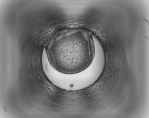 X0000098071444200804181120