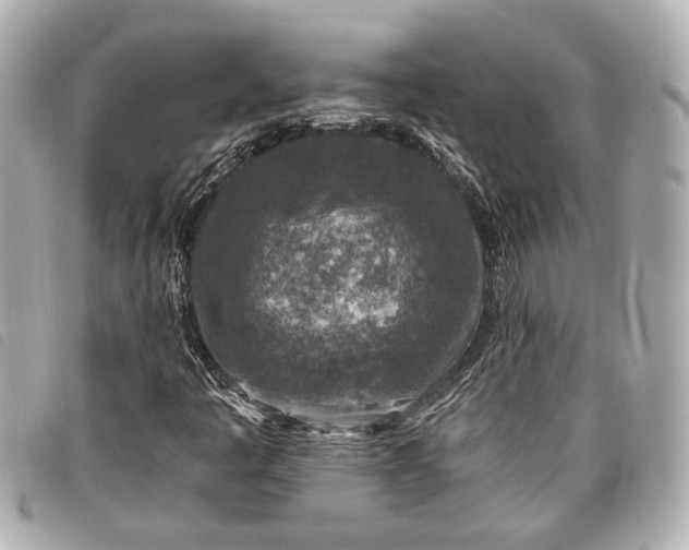 X0000098071445200804181120