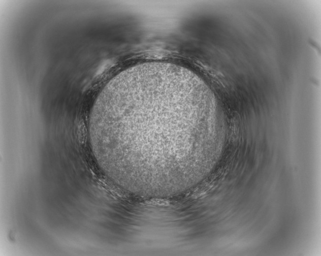 X0000098071446200804181120