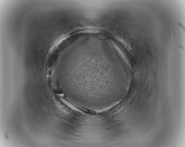 X0000098071448200804181120