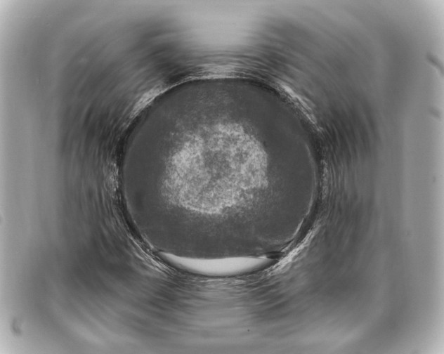 X0000098071449200804181120