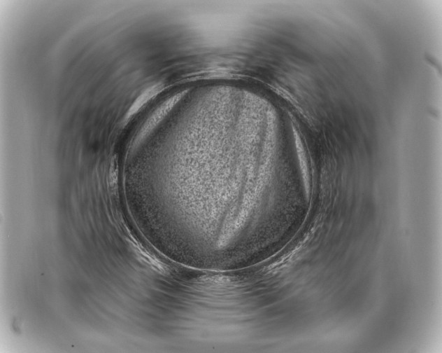 X0000098071450200804181120