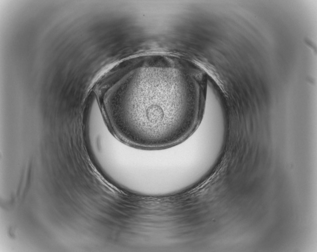 X0000098071452200804181120