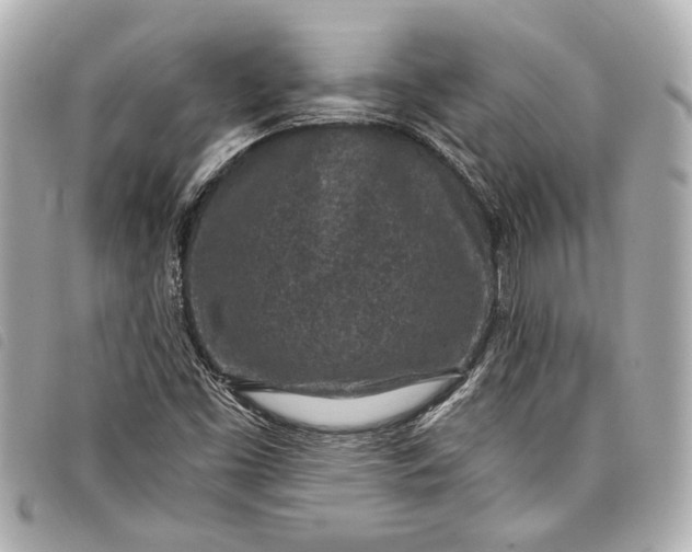 X0000098071453200804181120