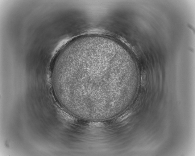 X0000098071454200804181120