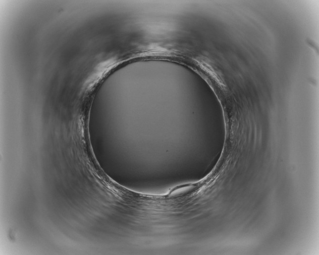 X0000098071455200804181120