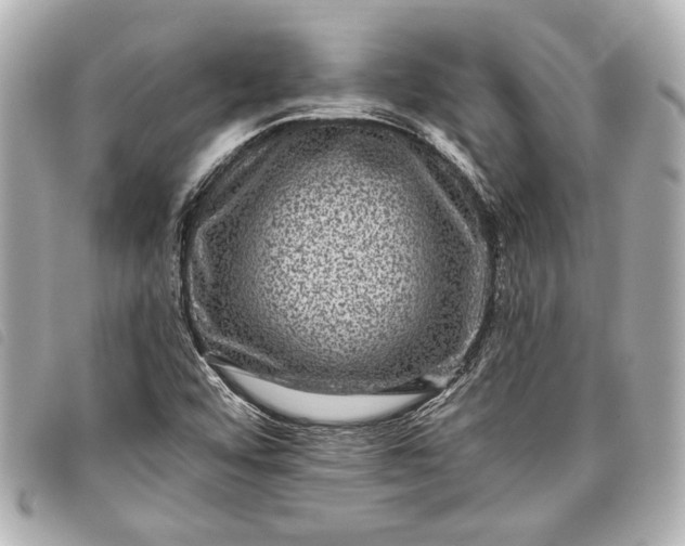 X0000098071456200804181120