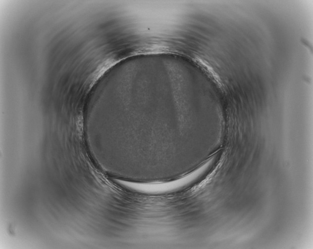 X0000098071457200804181120