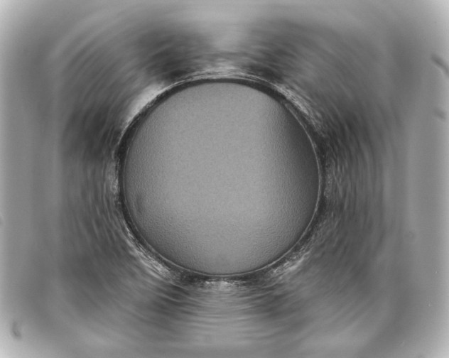 X0000098071458200804181120