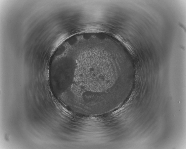 X0000098071459200804181120