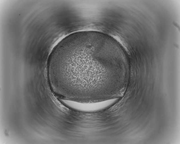 X0000098071460200804181120