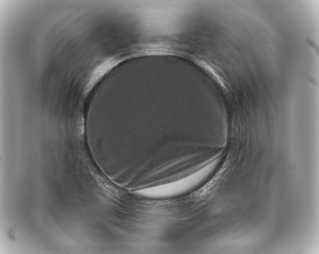 X0000098071461200804181120