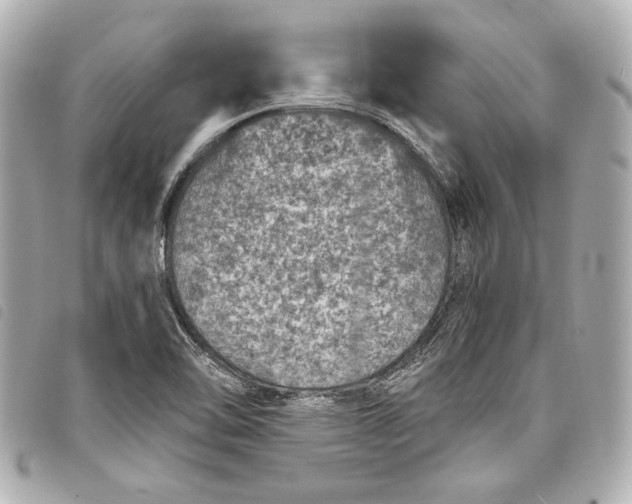 X0000098071462200804181120