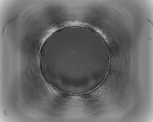 X0000098071463200804181120