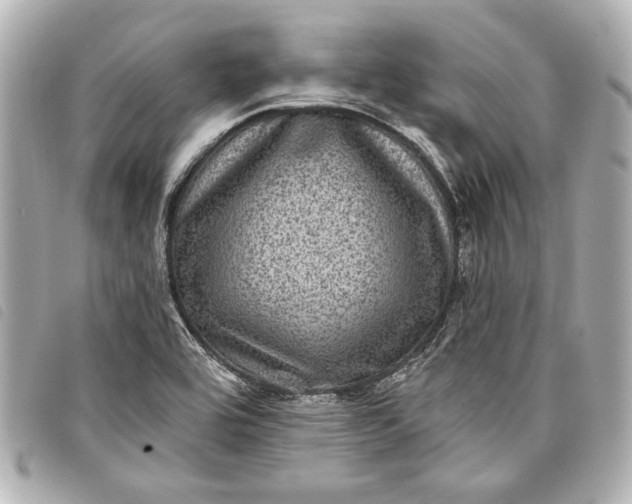 X0000098071464200804181120