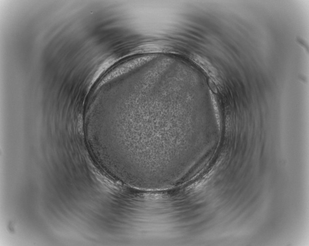 X0000098071465200804181120