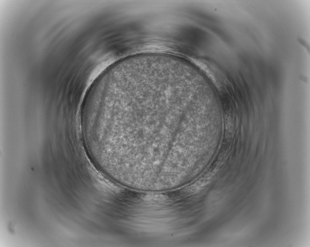 X0000098071466200804181120