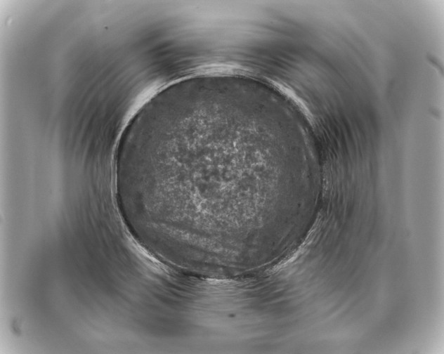 X0000098071467200804181120