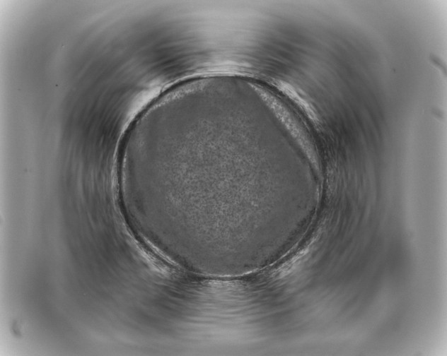 X0000098071469200804181120