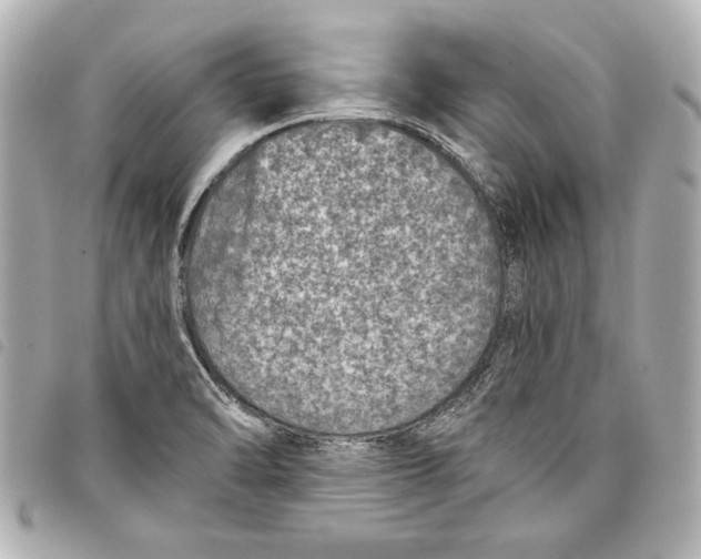 X0000098071470200804181120