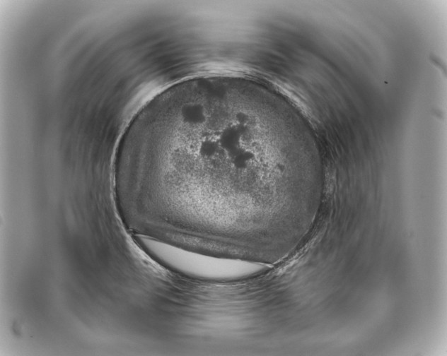 X0000098071471200804181119