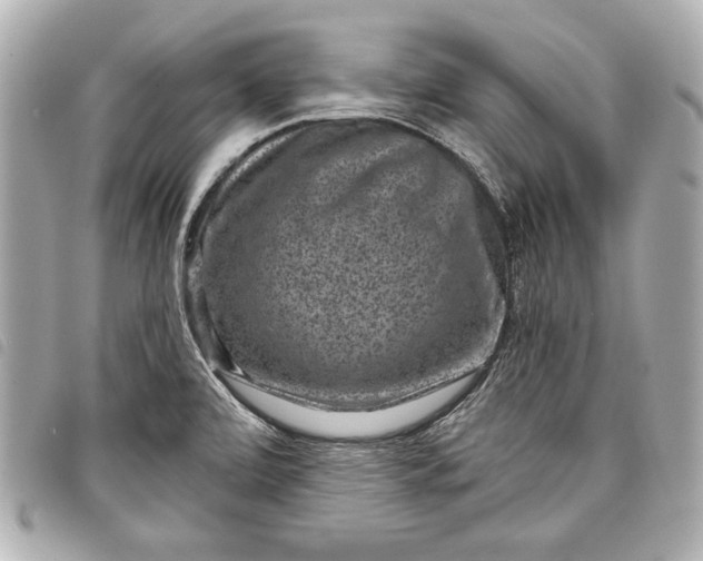 X0000098071472200804181119