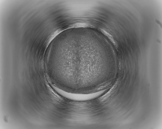 X0000098071473200804181119