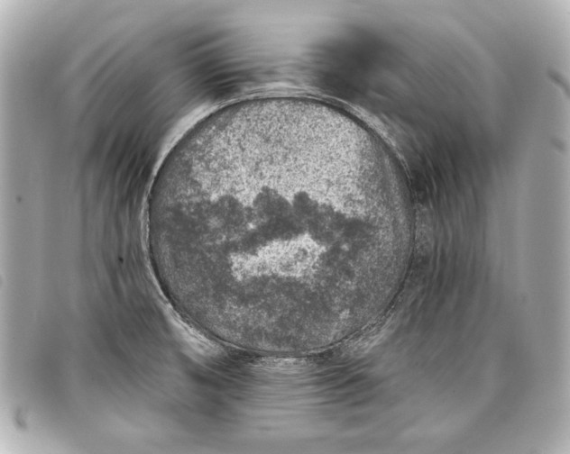 X0000098071474200804181119