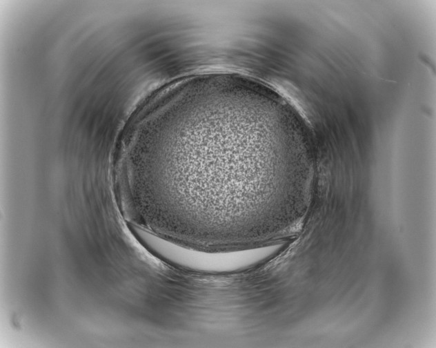 X0000098071476200804181119