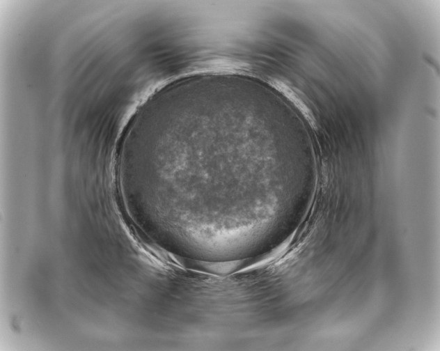 X0000098071477200804181119