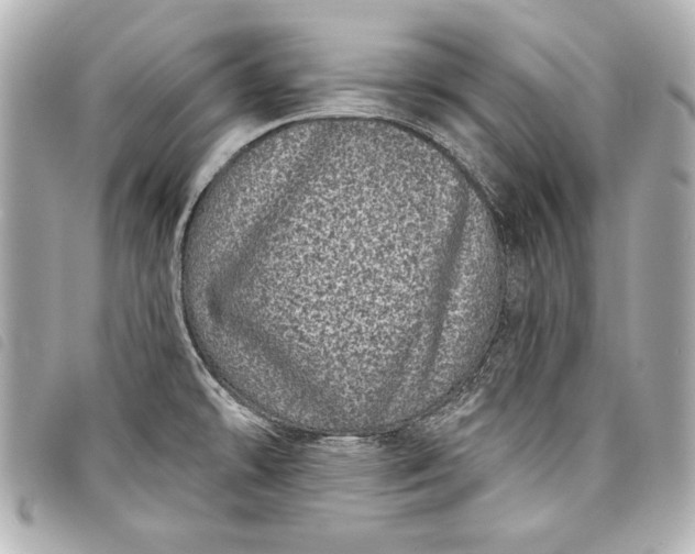 X0000098071478200804181119