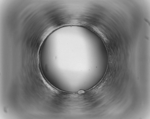 X0000098071479200804181119