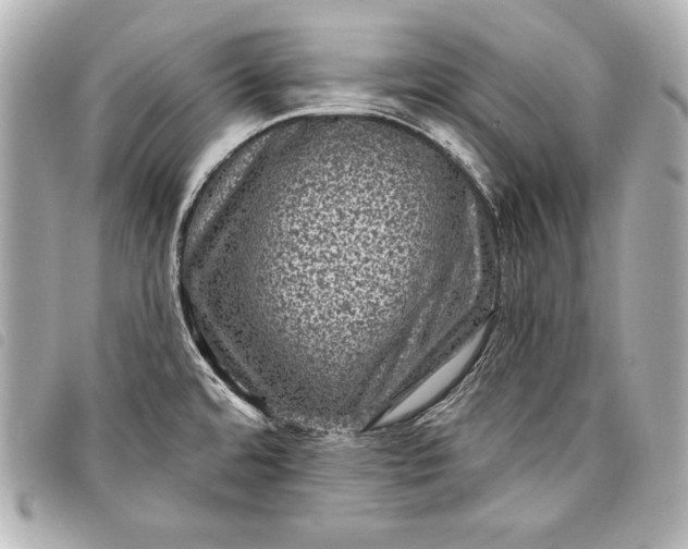 X0000098071480200804181119