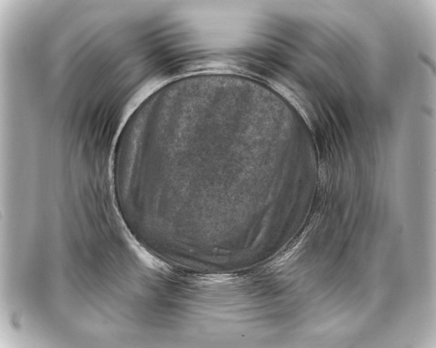 X0000098071482200804181119