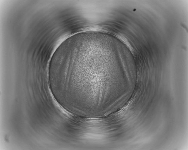 X0000098071483200804181119