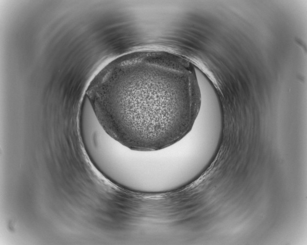 X0000098071484200804181119