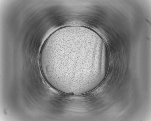 X0000098071486200804181119