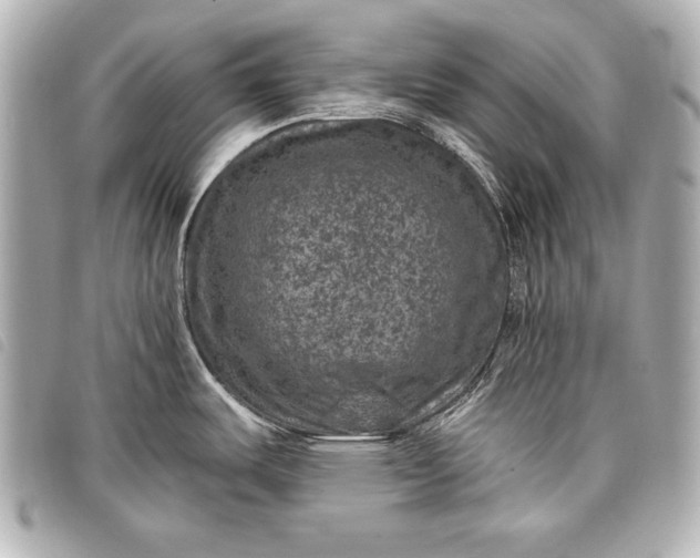 X0000098071487200804181119