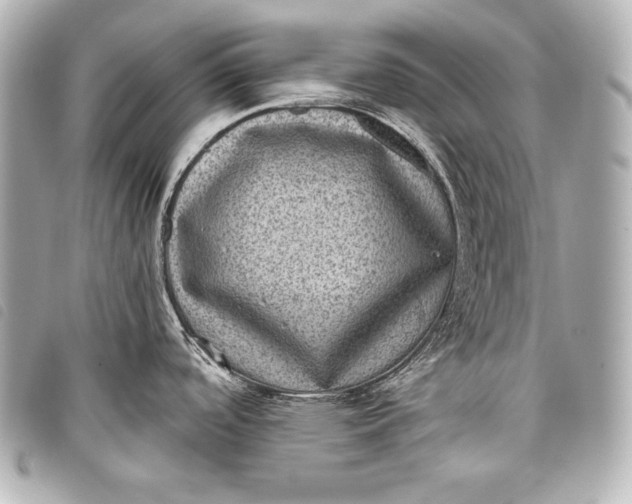 X0000098071488200804181119