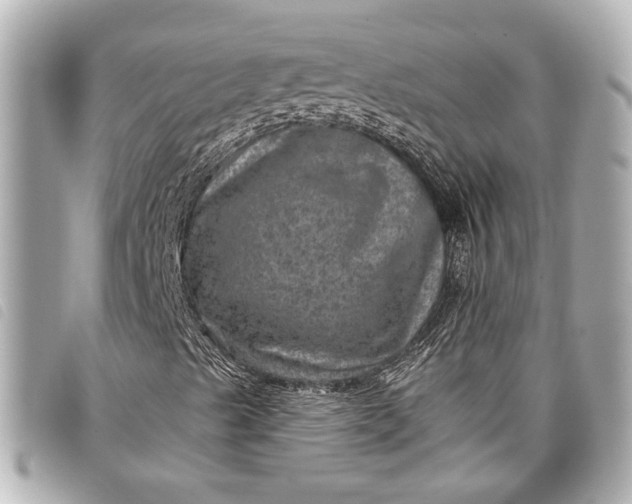 X0000098071489200804181118