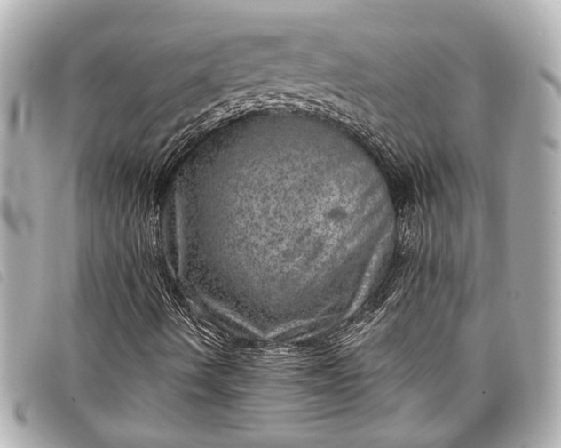 X0000098071490200804181118