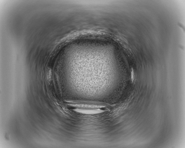 X0000098071492200804181118