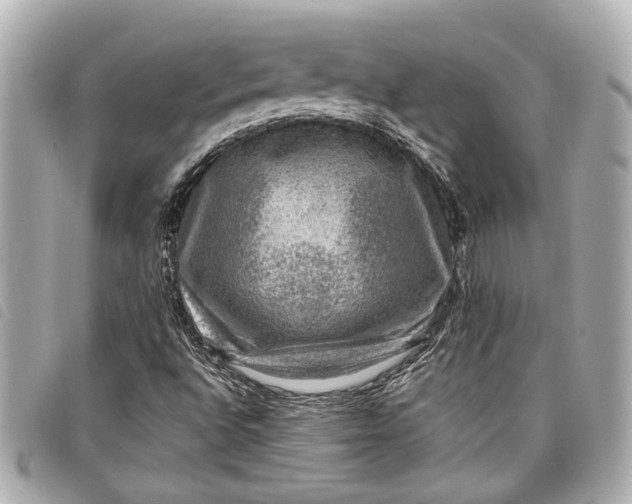 X0000098071496200804181118