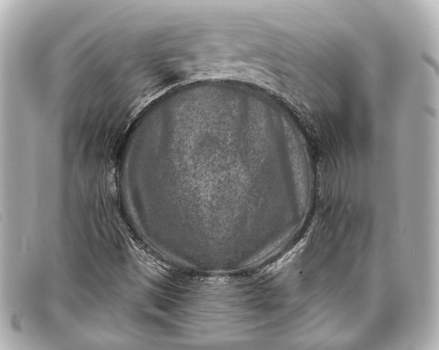 X0000098071497200804181118