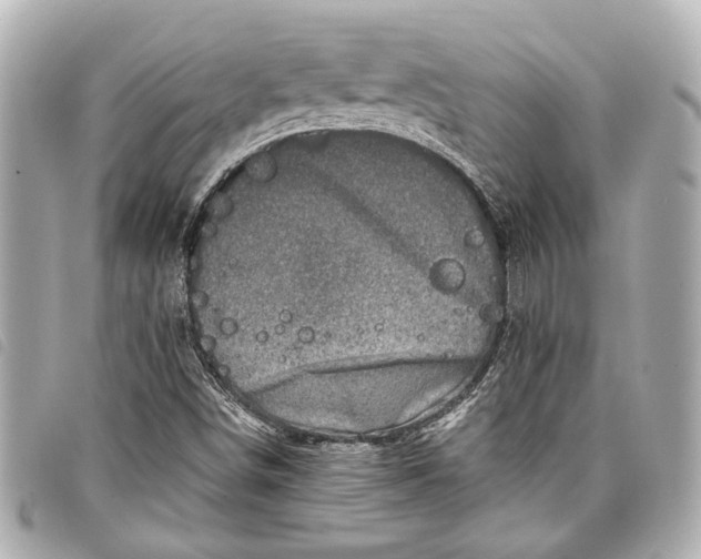 X0000098071498200804181118