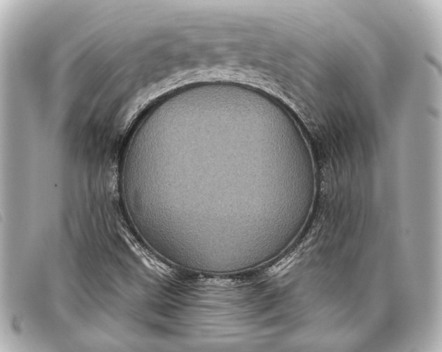 X0000098071499200804181118