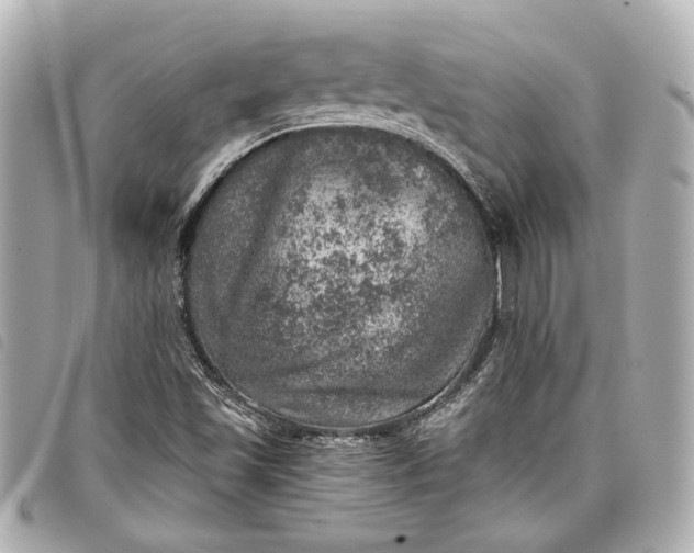 X0000098071501200804181118